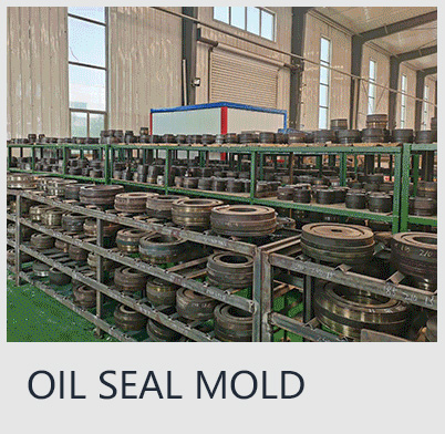 OIL SEAL MOLD