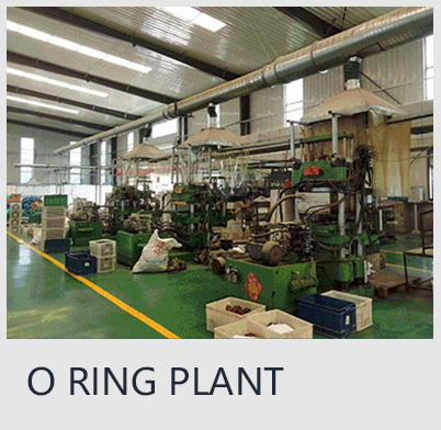 O RING PLANT