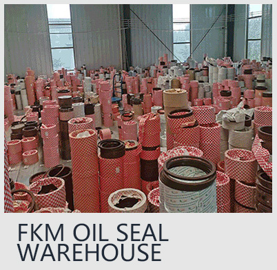 FKM OIL SEAL WAREHOUSE