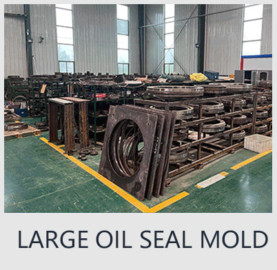 LARGE OIL SEAL MOLD