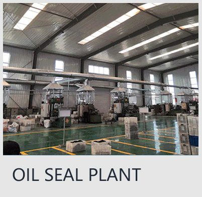 OIL SEAL PLANT