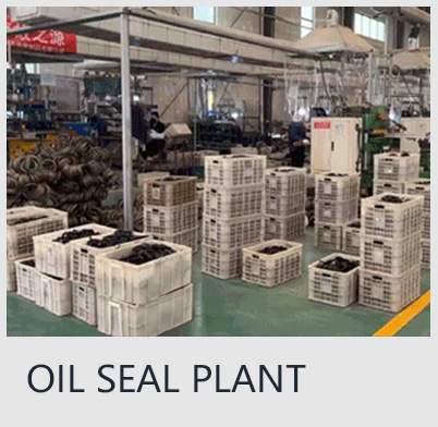 OIL SEAL PLANT