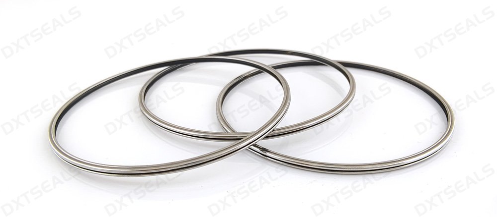 Characteristics of Metal E-Ring Seals and Their Applications in High-Pressure Environments