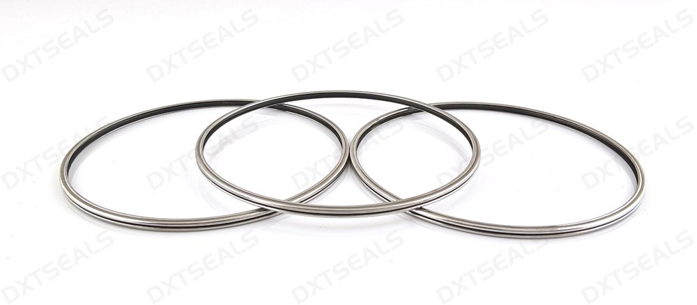 Performance of Metal E-Ring Seals in Extreme Environments and Their Suitable Applications