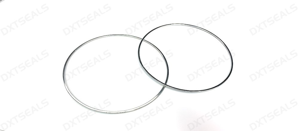 The Advantages and Applications of Metal O-Ring Seals in High-Temperature Environments