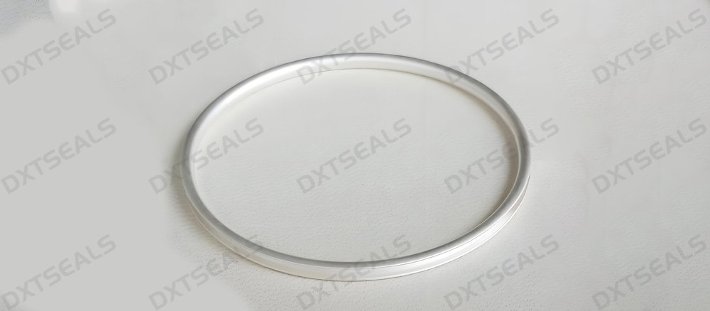 High-Performance Metal Seals for Marine Applications