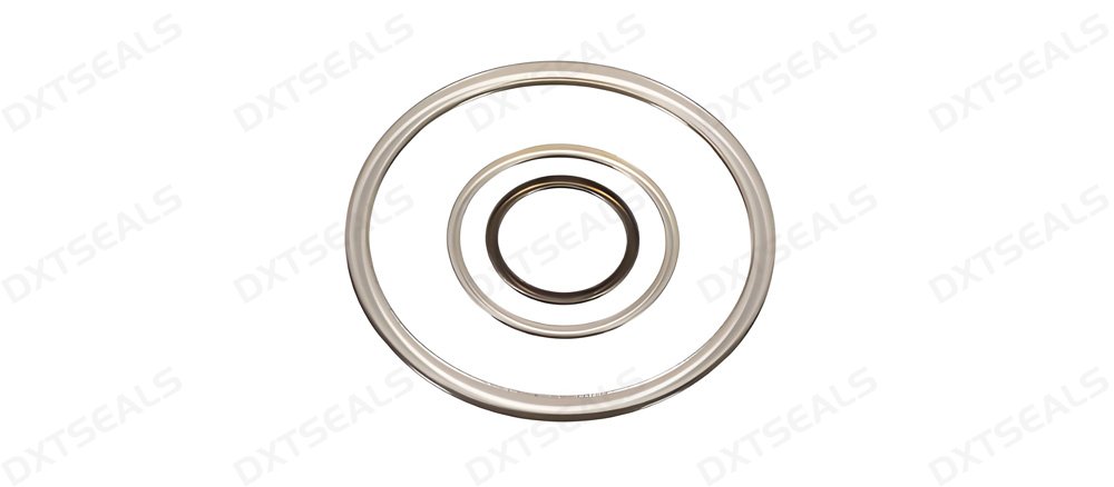 Metal Seals: Ideal for Cryogenic and High-Temperature Uses